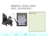 教科版小学六年级科学下册4-5地球家园的化学变化课件