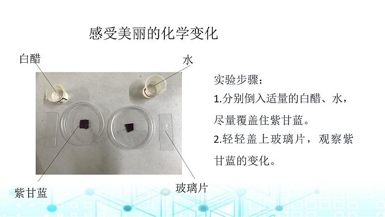 教科版小学六年级科学下册4-7美丽的化学变化课件05