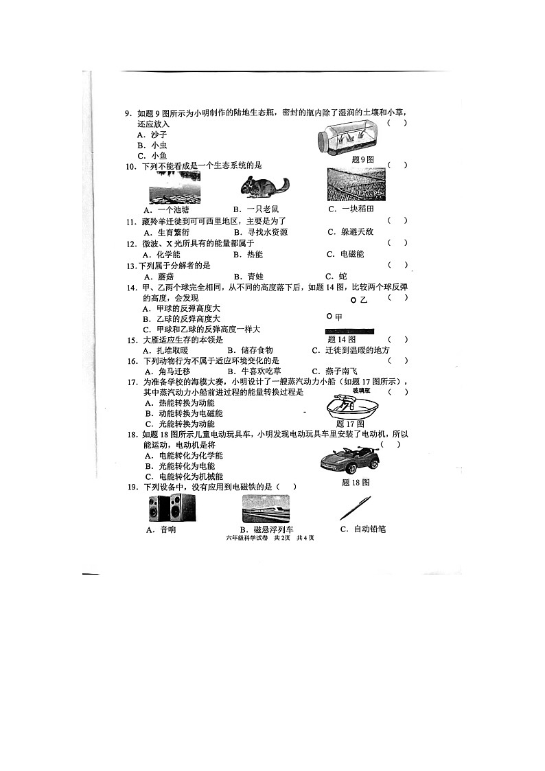 广东省清远市英德市2023-2024学年六年级下学期4月期中科学试题第2页