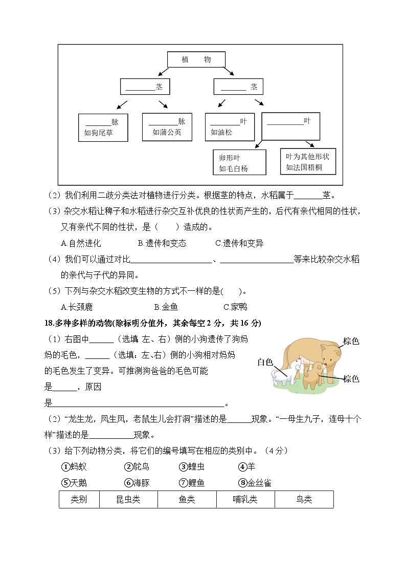 教科版六年级科学下册第二单元测试卷（附答案）03