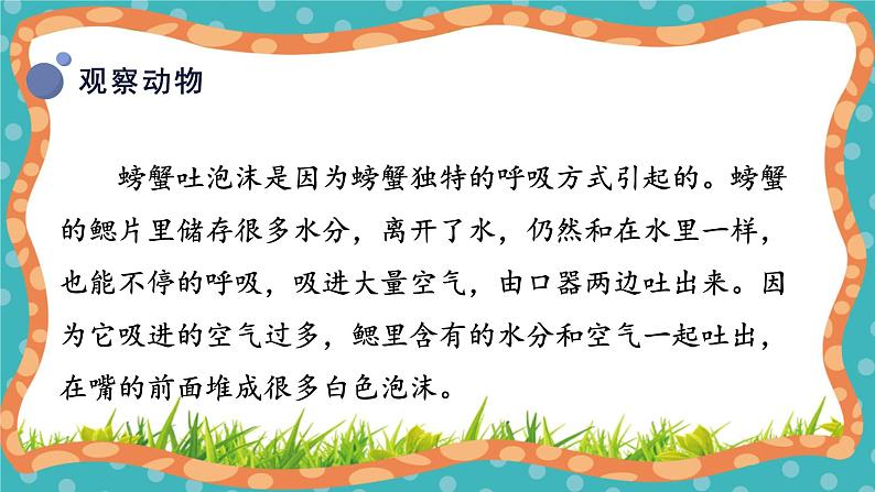 【核心素养】冀人版小学科学一年级上册 8 认识动物 课件+教案（含教学反思）08