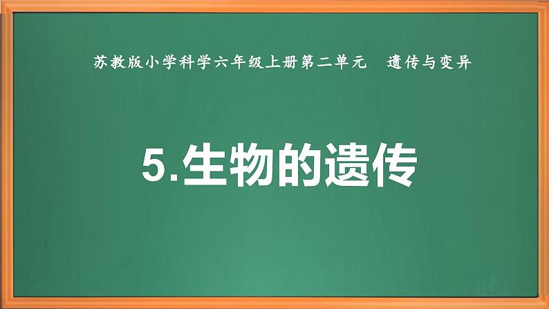 苏教版小学科学六年级上册第二单元《5 生物的遗传》课件、视频、作业设计第2页