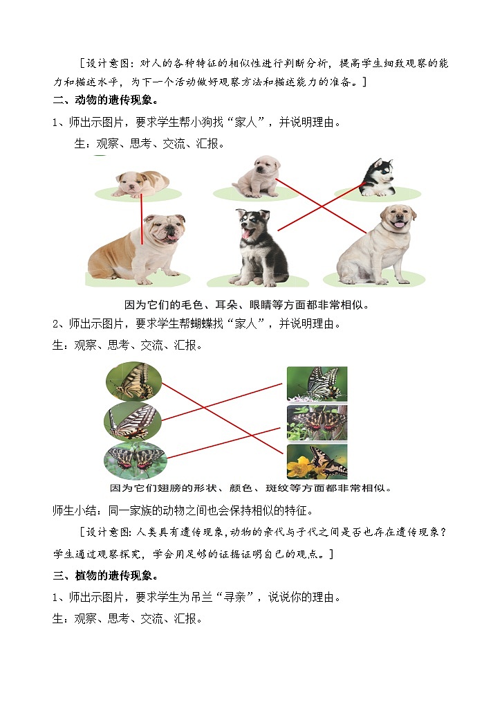 苏教版小学科学六年级上册第二单元《5 生物的遗传》教案第3页