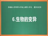 蘇教版小學(xué)科學(xué)六上第二單元《6 生物的變異》課件+教案+視頻+作業(yè)
