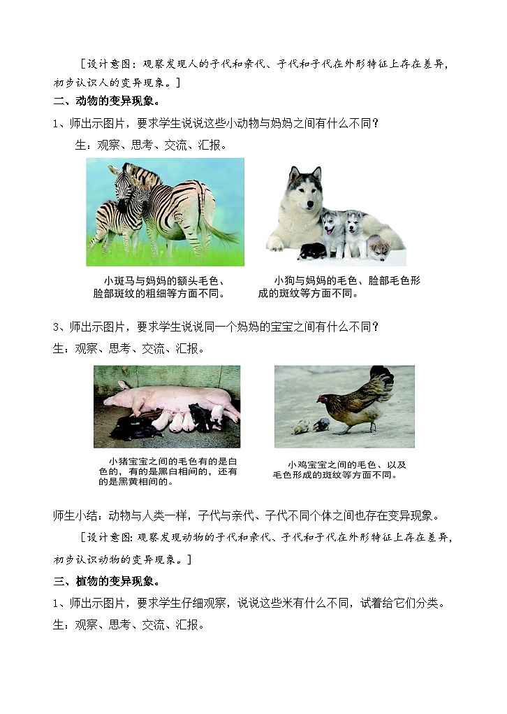 苏教版小学科学六上第二单元《6 生物的变异》课件+教案+视频+作业03