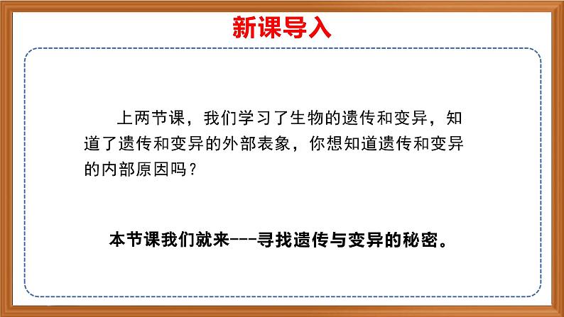 苏教版小学科学六年级上册第二单元《7 寻找遗传与变异的秘密》课件、视频、作业设计第1页