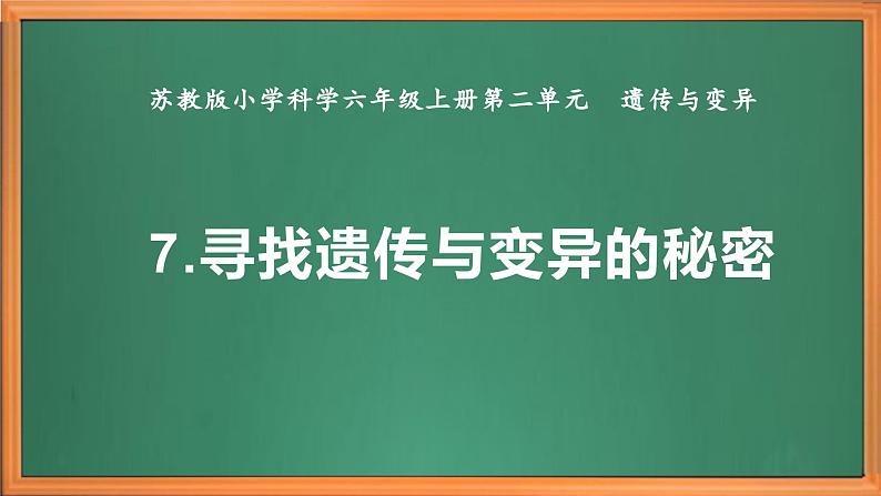 苏教版小学科学六年级上册第二单元《7 寻找遗传与变异的秘密》课件、视频、作业设计第2页