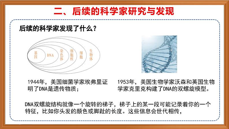 苏教版小学科学六年级上册第二单元《7 寻找遗传与变异的秘密》课件、视频、作业设计第8页