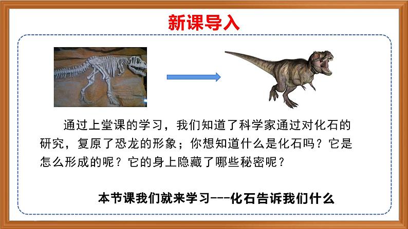 苏教版小学科学六上第三单元《9 化石告诉我们什么》课件+教案+视频+作业01