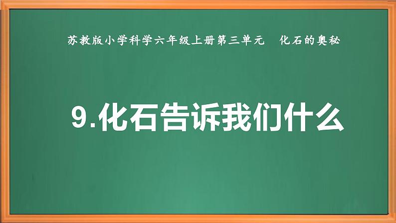 苏教版小学科学六上第三单元《9 化石告诉我们什么》课件+教案+视频+作业02