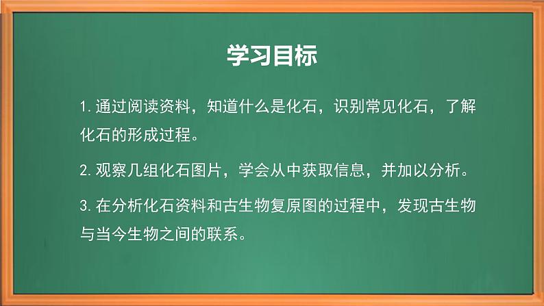 苏教版小学科学六上第三单元《9 化石告诉我们什么》课件+教案+视频+作业03