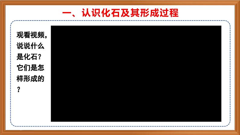 苏教版小学科学六上第三单元《9 化石告诉我们什么》课件+教案+视频+作业04