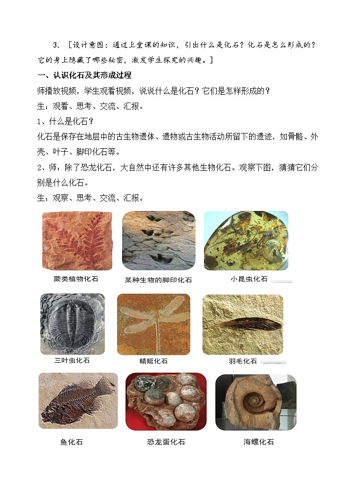 苏教版小学科学六上第三单元《9 化石告诉我们什么》课件+教案+视频+作业02
