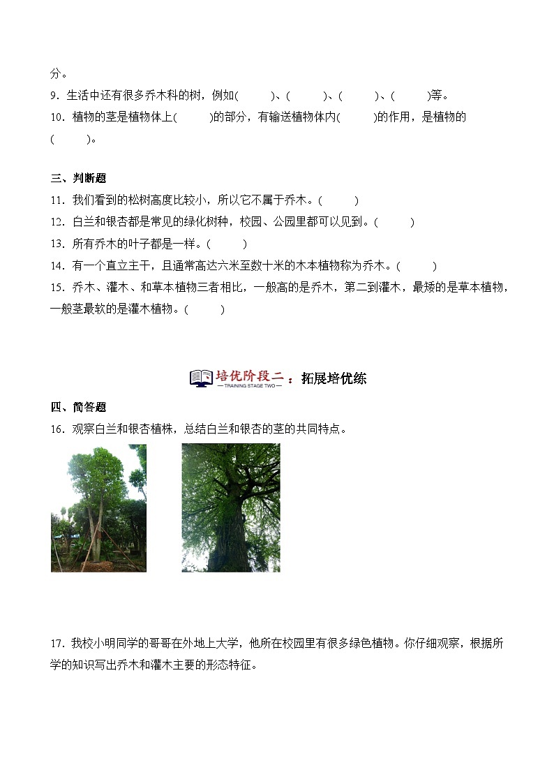 第1课+白兰和银杏（同步阶段练习）-2023-2024学年科学四年级下册（粤教粤科版）02