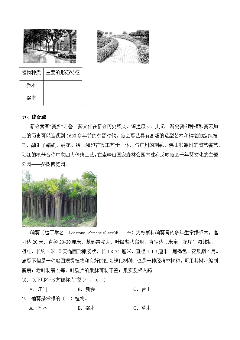 第1课+白兰和银杏（同步阶段练习）-2023-2024学年科学四年级下册（粤教粤科版）03