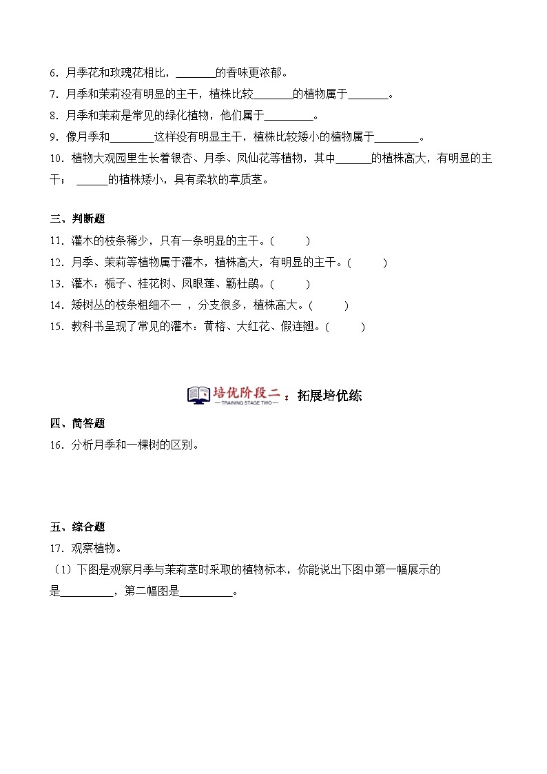 第2课+月季和茉莉（同步阶段练习）-2023-2024学年科学四年级下册（粤教粤科版）02
