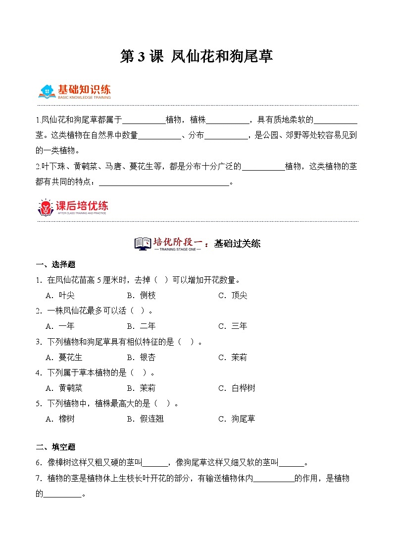 第3课+凤仙花和狗尾草（同步阶段练习）-2023-2024学年科学四年级下册（粤教粤科版）01
