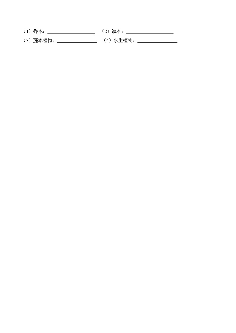 第3课+凤仙花和狗尾草（同步阶段练习）-2023-2024学年科学四年级下册（粤教粤科版）03