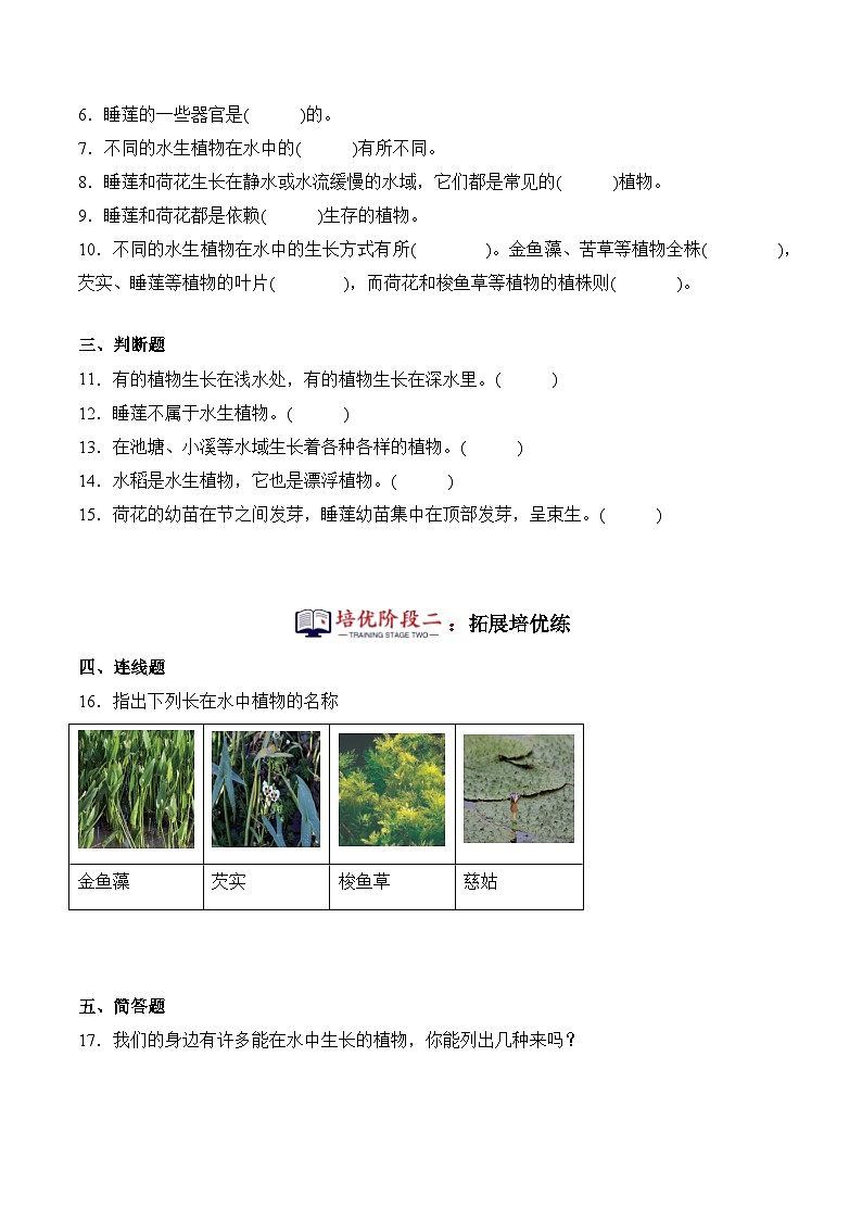第5课+睡莲和荷花（同步阶段练习）-2023-2024学年科学四年级下册（粤教粤科版）02