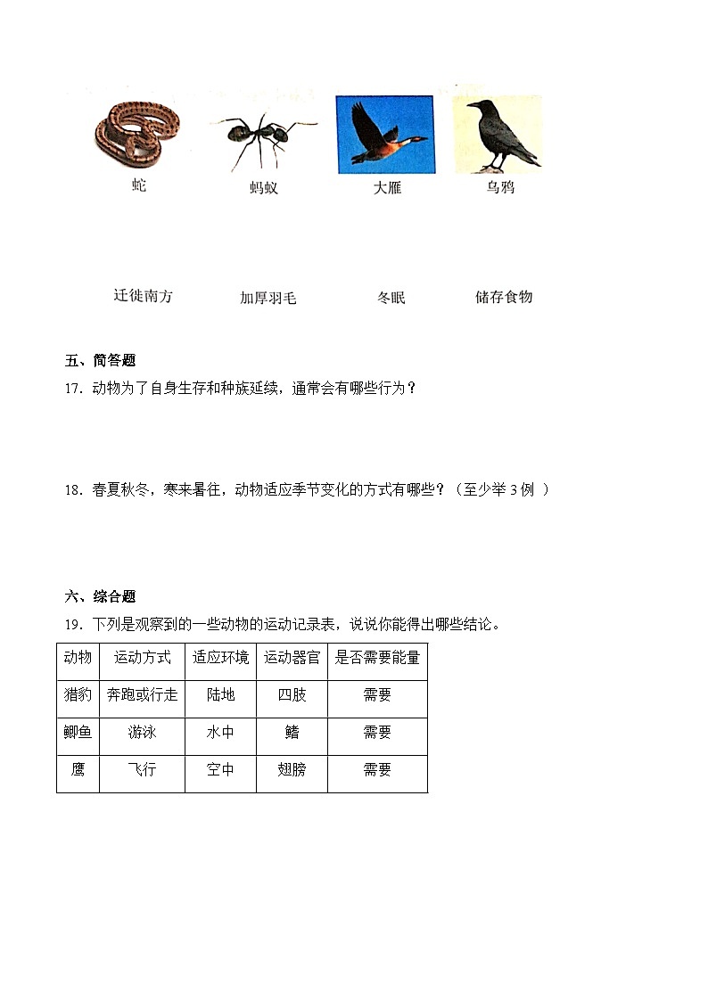 第11课+动物的行为（同步阶段练习）-2023-2024学年科学四年级下册（粤教粤科版）第3页