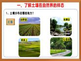 蘇教版小學(xué)科學(xué)三上第二單元《4 土壤的成分》課件+教案+視頻+作業(yè)