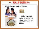 苏教版小学科学三上第二单元《5 土壤的类型》课件+教案+视频+作业