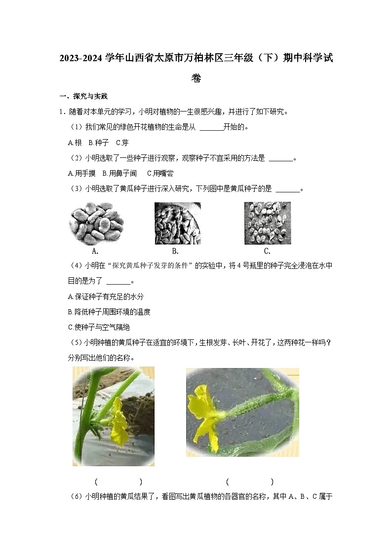 01，山西省太原市万柏林区2023-2024学年三年级下学期期中科学试卷01