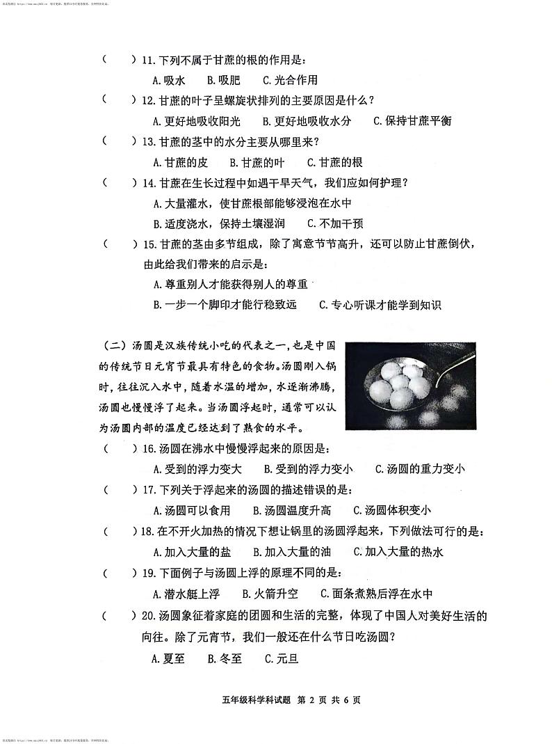 307，广东省江门市台山市2023-2024学年度第一学期义务教育质量监测题五年级科学期末试题02