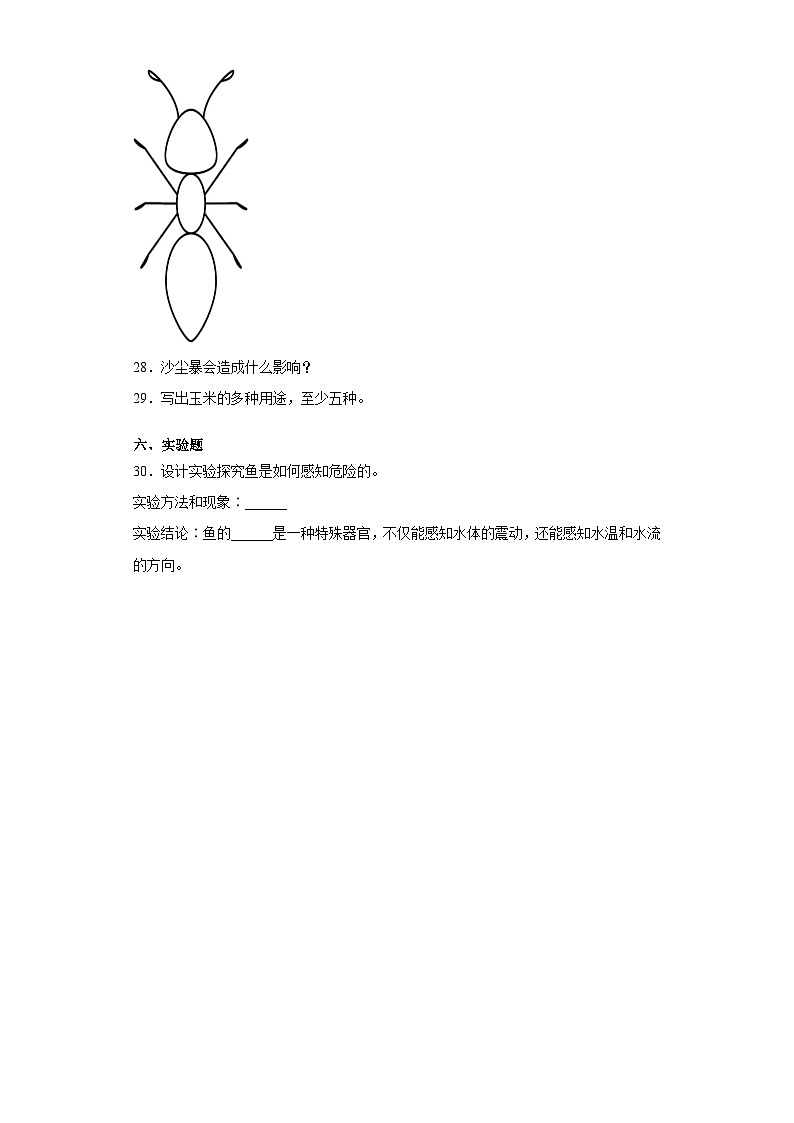 期末复习试卷（试题）-2021-2022学年科学三年级下册第3页