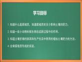 苏教版小学科学三上第二单元《6 肥沃的土壤》课件+教案+视频+作业