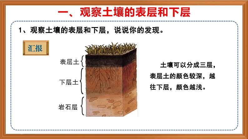 苏教版小学科学三上第二单元《6 肥沃的土壤》课件+教案+视频+作业04