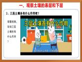 苏教版小学科学三上第二单元《6 肥沃的土壤》课件+教案+视频+作业