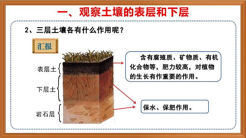 苏教版小学科学三上第二单元《6 肥沃的土壤》课件+教案+视频+作业06