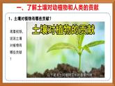 苏教版小学科学三上第二单元《7 保护土壤》课件+教案+视频+作业