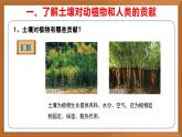 苏教版小学科学三上第二单元《7 保护土壤》课件+教案+视频+作业