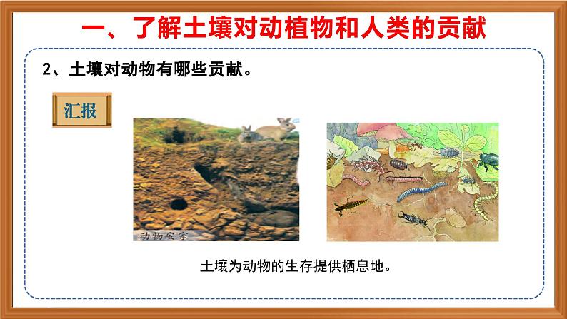 苏教版小学科学三上第二单元《7 保护土壤》课件+教案+视频+作业06