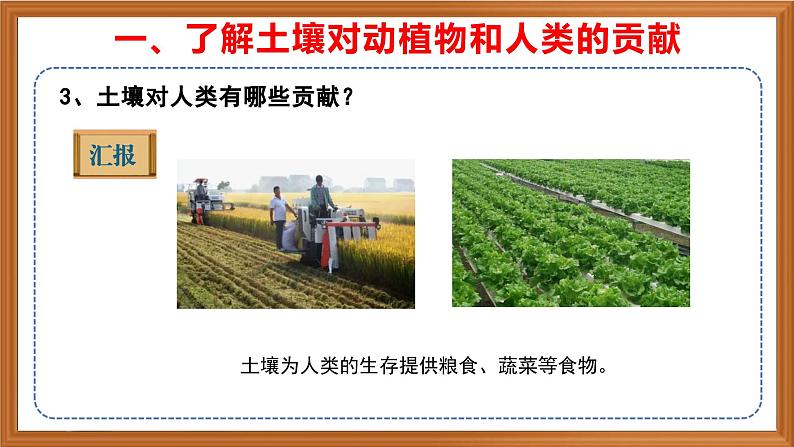 苏教版小学科学三上第二单元《7 保护土壤》课件+教案+视频+作业07