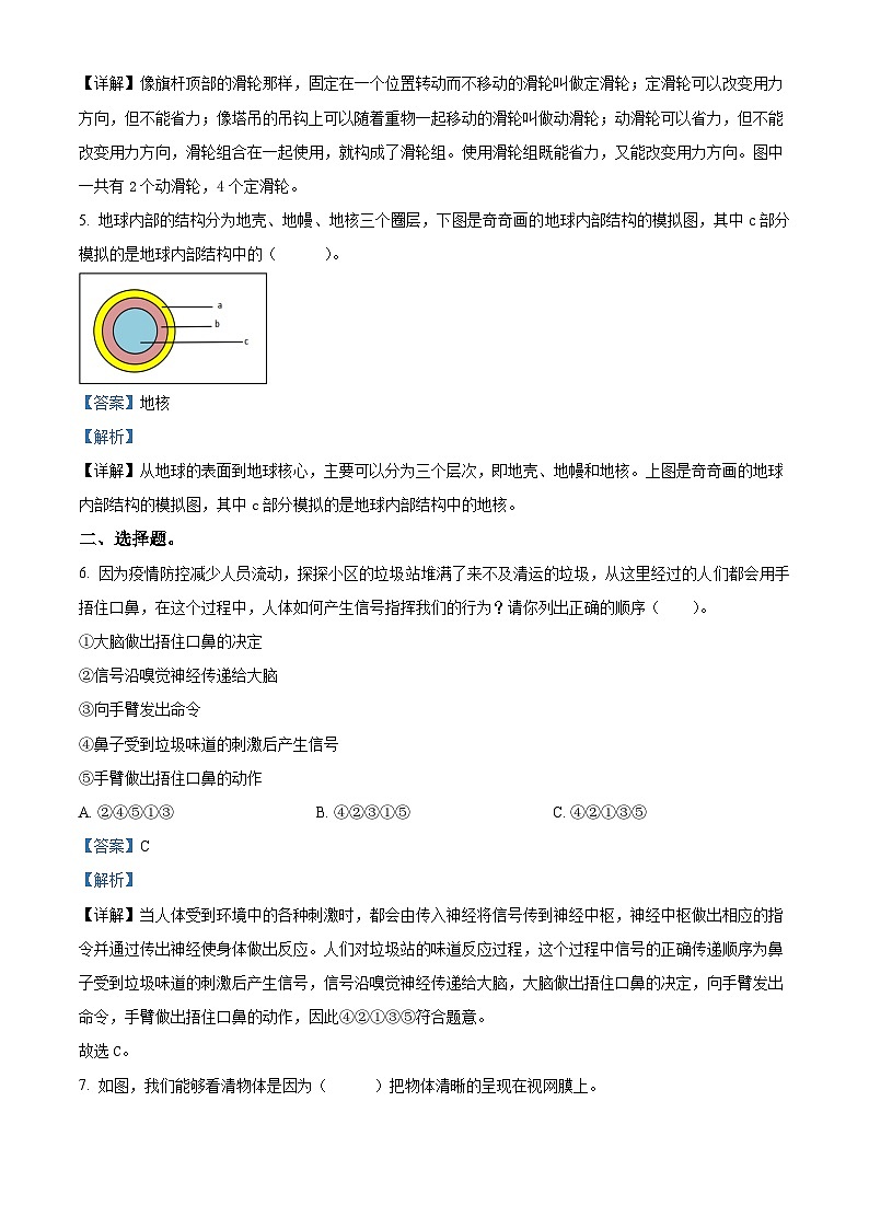 2023-2024学年河南省郑州市金水区文化路第一小学教育集团大象版五年级上册期末考试科学试卷（解析版）第2页
