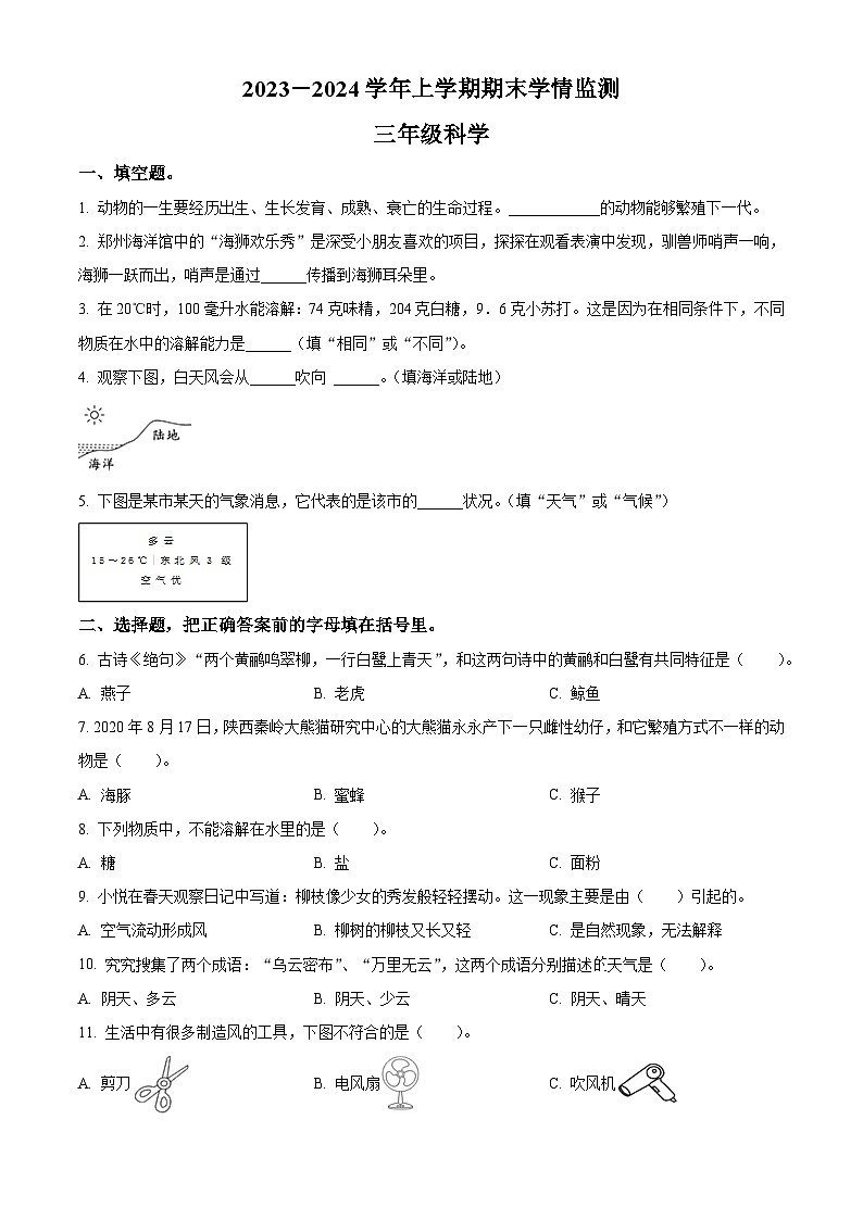 2023-2024学年河南省郑州市金水区文化路第一小学教育集团大象版三年级上册期末考试科学试卷01