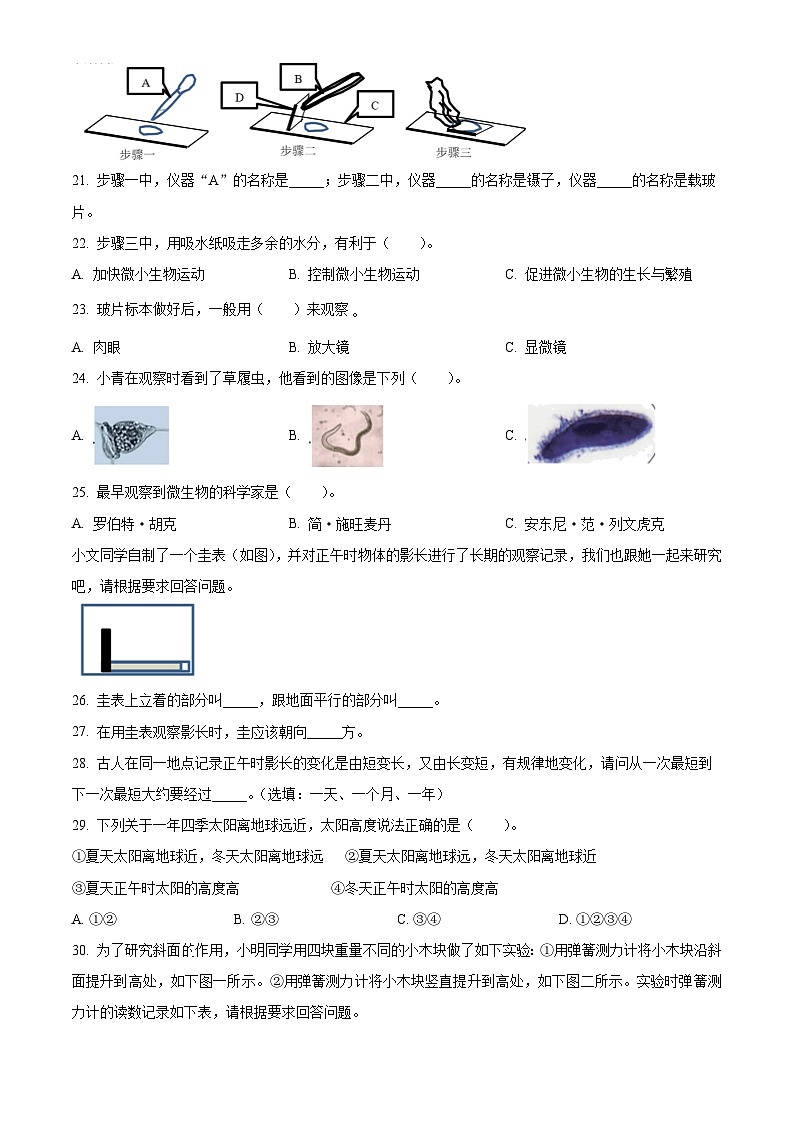2023-2024学年六年级下册科学教科版期末综合素养评估（二）（原卷版）第3页