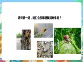 粤科版科学二年级下册  新课标核心素养 1.1《菜叶上的蜗牛》 课件+教案+分层练习（含答案）