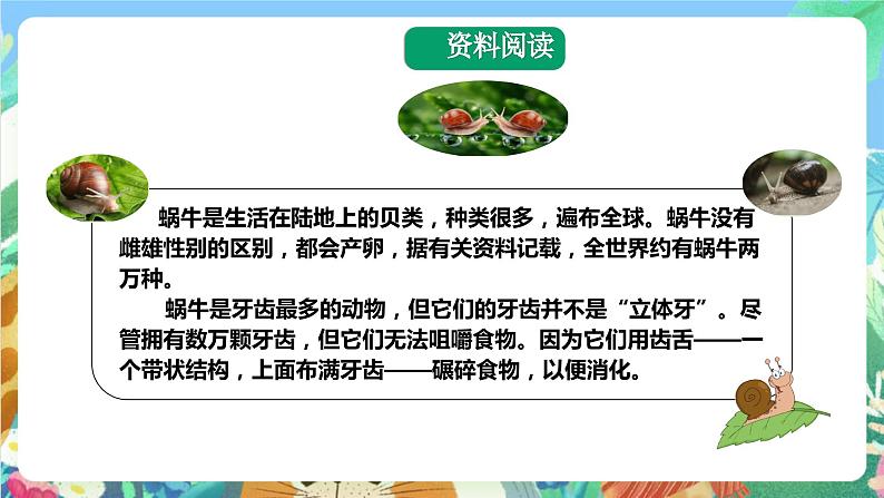 粤科版科学二年级下册  新课标核心素养 1.1《菜叶上的蜗牛》 课件+教案+分层练习（含答案）05