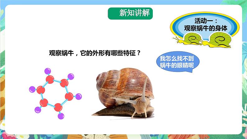 粤科版科学二年级下册  新课标核心素养 1.1《菜叶上的蜗牛》 课件+教案+分层练习（含答案）07