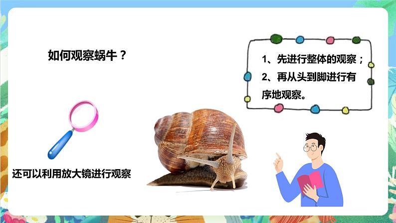 粤科版科学二年级下册  新课标核心素养 1.1《菜叶上的蜗牛》 课件+教案+分层练习（含答案）08