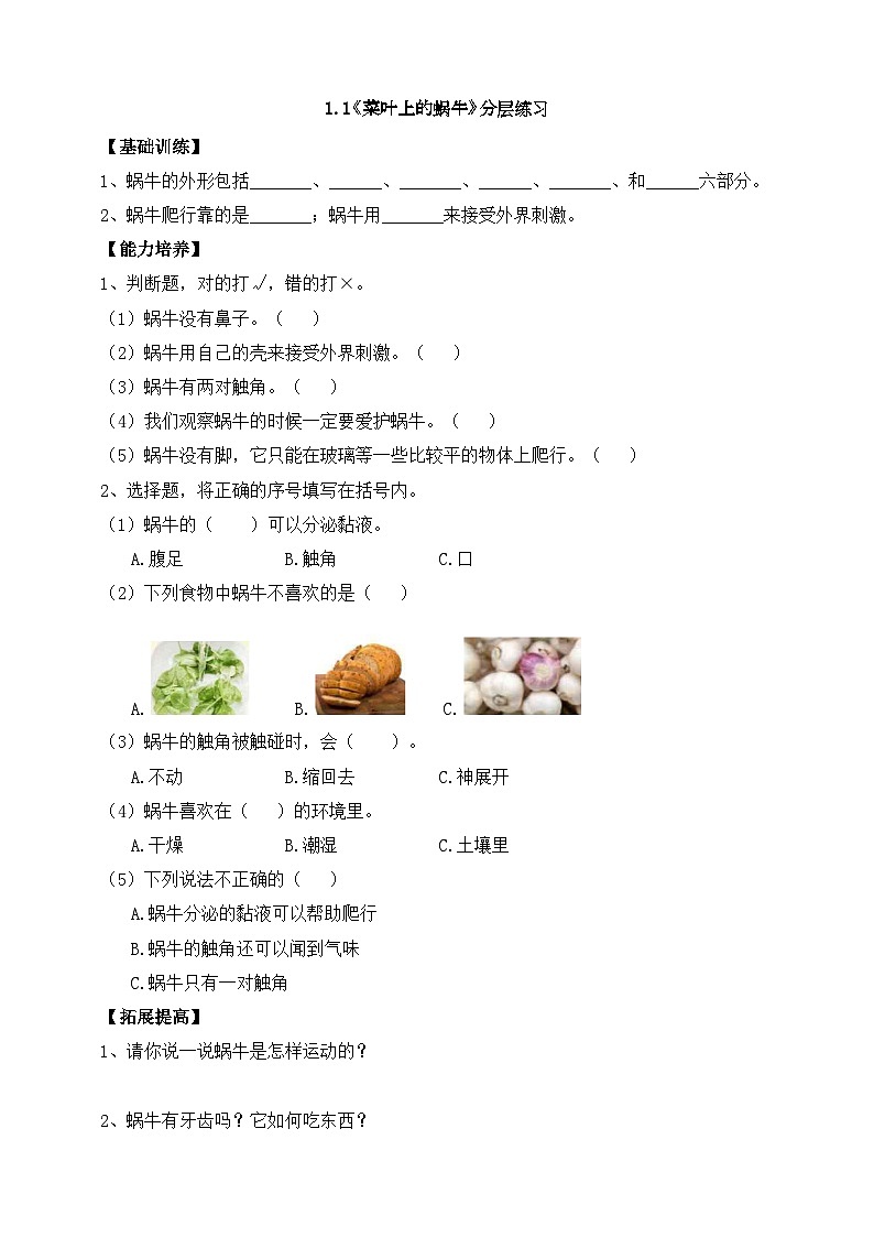 粤科版科学二年级下册  新课标核心素养 1.1《菜叶上的蜗牛》 课件+教案+分层练习（含答案）01