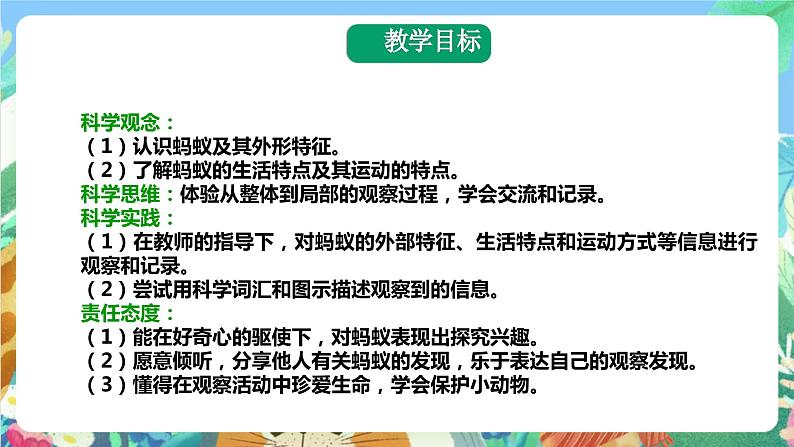 粤科版科学二年级下册 新课标核心素养  1.2《校园里的蚂蚁》课件+教案+分层练习（含答案）02