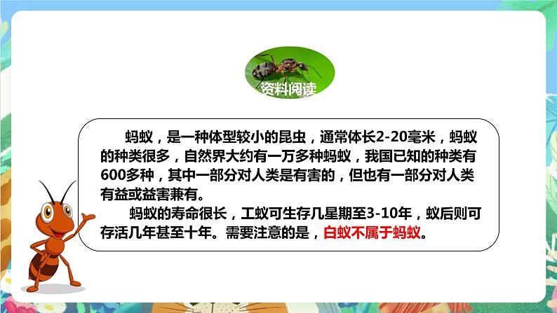 粤科版科学二年级下册 新课标核心素养  1.2《校园里的蚂蚁》课件+教案+分层练习（含答案）04