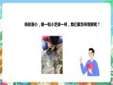 粤科版科学二年级下册 新课标核心素养  1.2《校园里的蚂蚁》课件+教案+分层练习（含答案）