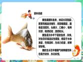 粤科版科学二年级下册新课标核心素养  1.3《池塘里的鲤鱼》课件+素材+教案+分层练习（含答案）
