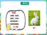 粤科版科学二年级下册  新课标核心素养 1.4《家里的兔子》 课件+素材+教案+分层练习（含答案）